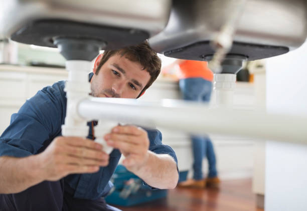 Best Clogged Drain Plumber  in Crivitz, WI